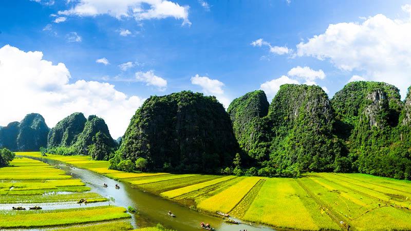 Panorama med flod klipper og rismarker i vietnam